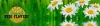 Medi-Flowery logo